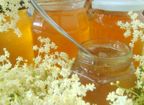 Džem z bezových květů