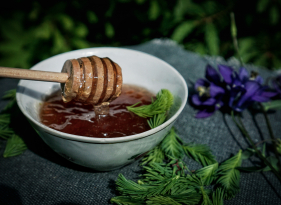 Med ze smrkových výhonků